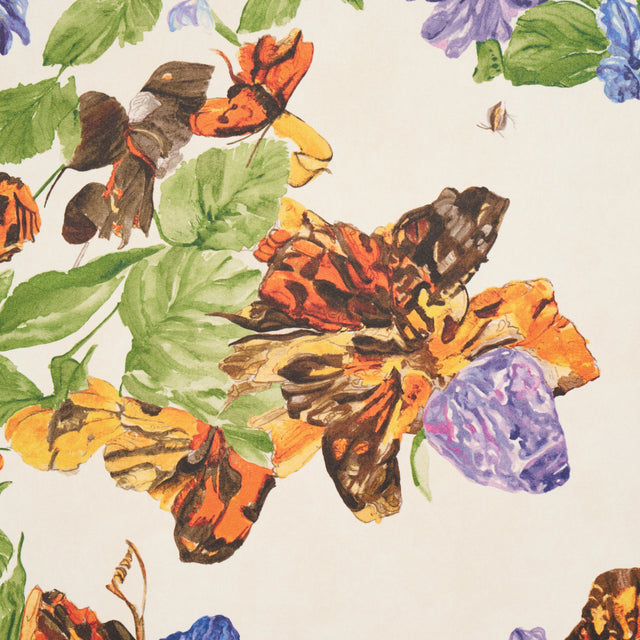 Pyne Butterfly Monarch Orange by Schumacher Botanical Butterfly Wallpaper – Schumacher 5016380