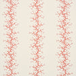 Coral Stripe wallpaper by Schumacher featuring delicate coral branches in a stripe pattern on a light background.