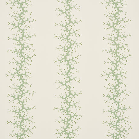 Coral Stripe wallpaper in green by Schumacher, featuring delicate coral branch stripes on a light background.