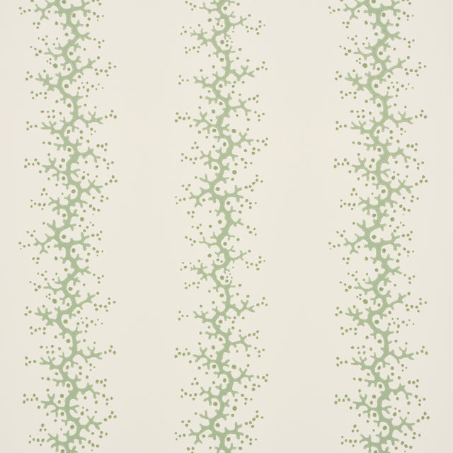 Coral Stripe wallpaper in green by Schumacher, featuring delicate coral branch stripes on a light background.