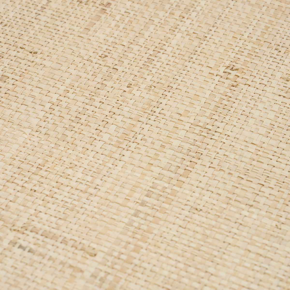 Blonde Raffia Wheat by Schumacher Perennial Favorites Collection Refined Woven Wallpaper – Schumacher 5016510