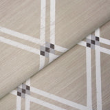 Asolo Sisal Silver by Schumacher Textured Trellis Wallpaper – Schumacher 5016540