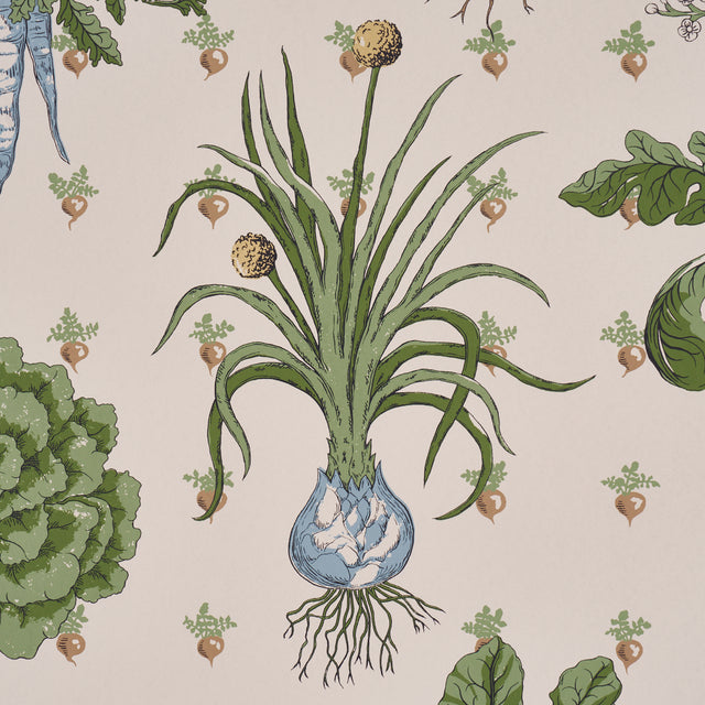 Green Grocer Parchment Botanical Vegetable Wallpaper – Schumacher 5016781
