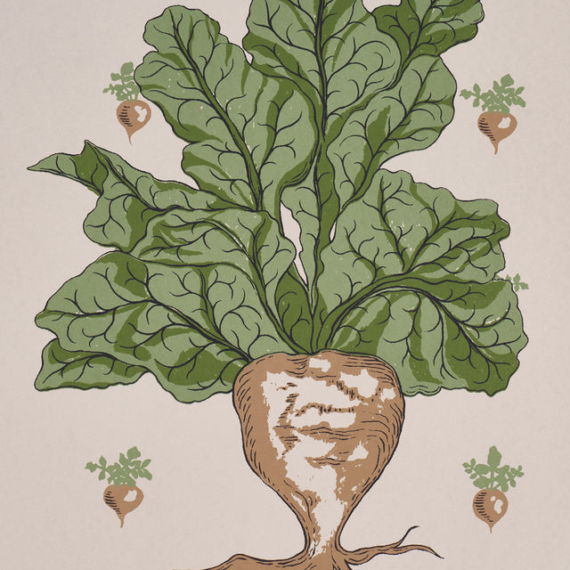 Green Grocer Parchment Botanical Vegetable Wallpaper – Schumacher 5016781