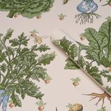 Green Grocer Parchment Botanical Vegetable Wallpaper – Schumacher 5016781