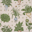 Green Grocer wallpaper by Schumacher featuring leafy vegetables and radishes on a parchment background, perfect for kitchens and pantries.