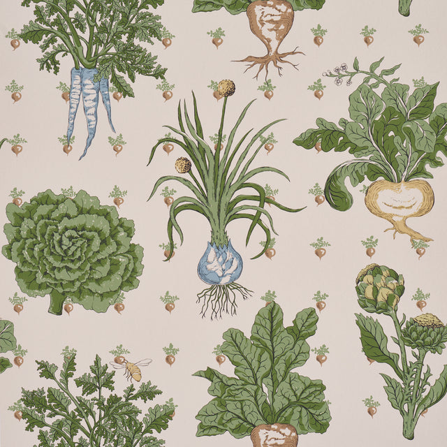 Green Grocer wallpaper by Schumacher featuring leafy vegetables and radishes on a parchment background, perfect for kitchens and pantries.