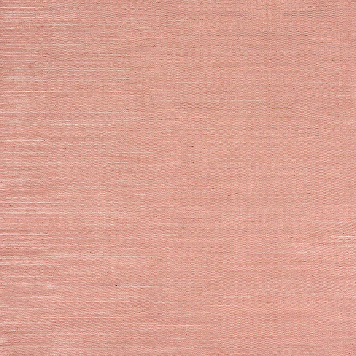 Haruki Sisal wallpaper in 36 Hours in Marrakesh by Schumacher. Textured sisal wallcovering in a warm, earthy pink hue.