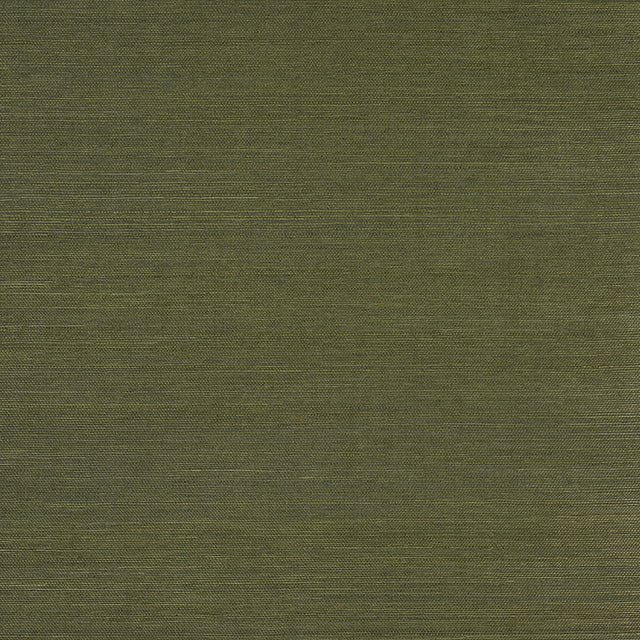 Haruki Sisal Night on Earth by Schumacher - Textured green sisal wallcovering roll and detail