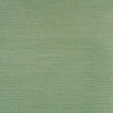 Haruki Sisal in Drive-Thru Safari by Schumacher. Textured green sisal grasscloth wallpaper roll and close-up detail.