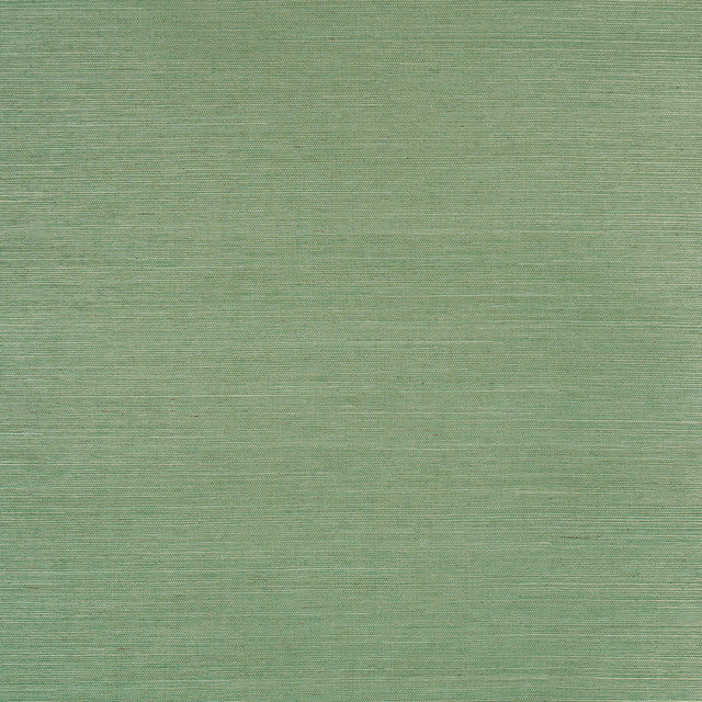Haruki Sisal in Drive-Thru Safari by Schumacher. Textured green sisal grasscloth wallpaper roll and close-up detail.