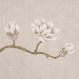 Magnolia Tree Grisaille by Schumacher Large-Scale Climbing Floral Wallpaper – Schumacher 5016931