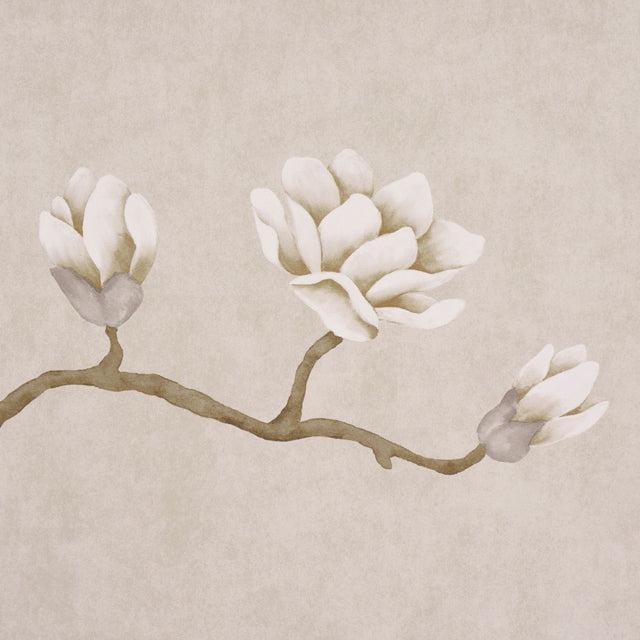 Magnolia Tree Grisaille by Schumacher Large-Scale Climbing Floral Wallpaper – Schumacher 5016931