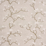 Magnolia Tree wallpaper in Grisaille by Schumacher, featuring large-scale climbing magnolia branches and flowers in a soft neutral palette.