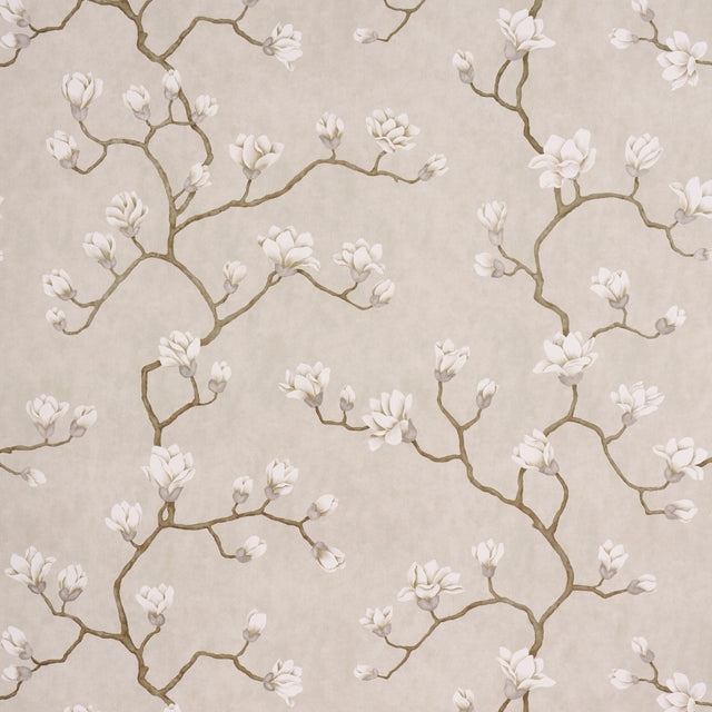 Magnolia Tree wallpaper in Grisaille by Schumacher, featuring large-scale climbing magnolia branches and flowers in a soft neutral palette.