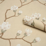 Magnolia Tree Soft Gold by Schumacher Botanical Garden Wallpaper – Schumacher 5016932