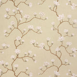 Magnolia Tree wallpaper in soft gold with large-scale climbing magnolia floral branches, inspired by Japanese screens, by Schumacher.