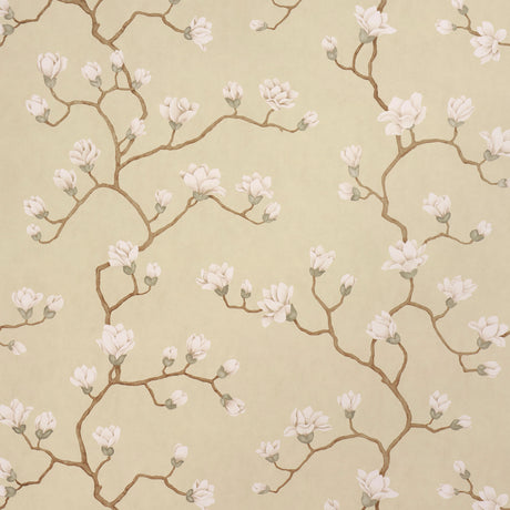 Magnolia Tree wallpaper in soft gold with large-scale climbing magnolia floral branches, inspired by Japanese screens, by Schumacher.