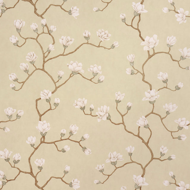 Magnolia Tree wallpaper in soft gold with large-scale climbing magnolia floral branches, inspired by Japanese screens, by Schumacher.