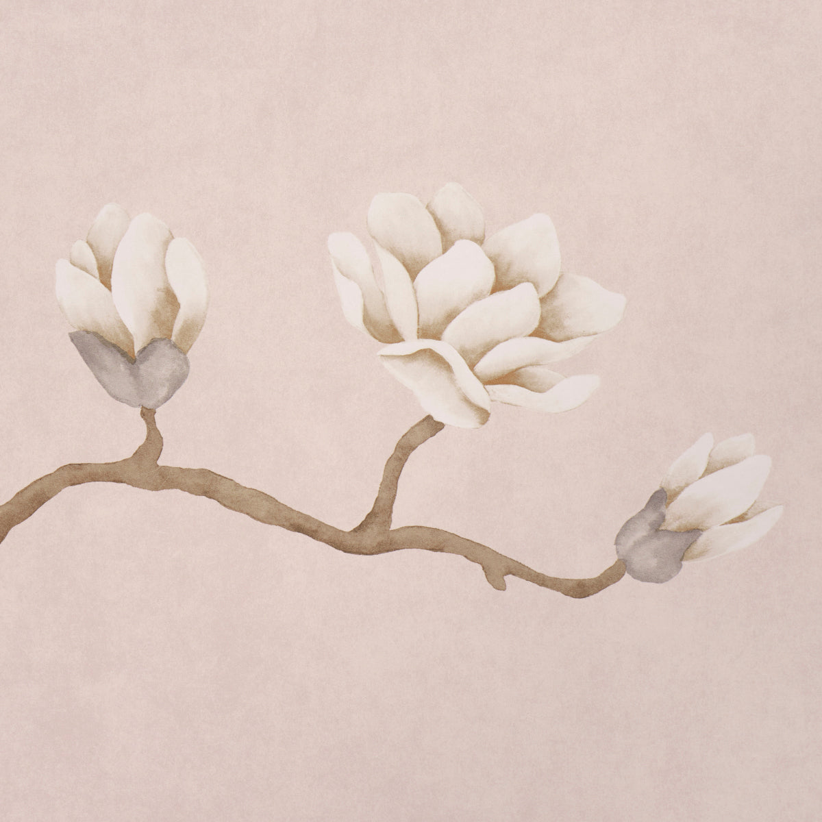 Magnolia Tree Dusty Blush by Schumacher Botanical Garden Wallpaper – Schumacher 5016933