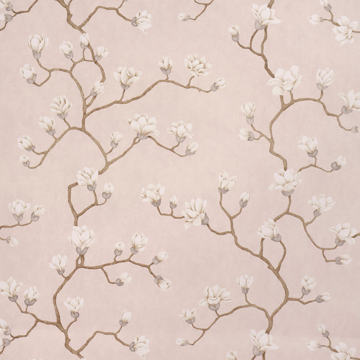 Magnolia Tree wallpaper in Dusty Blush by Schumacher, featuring large-scale hand-painted magnolia blossoms on a soft blush background.