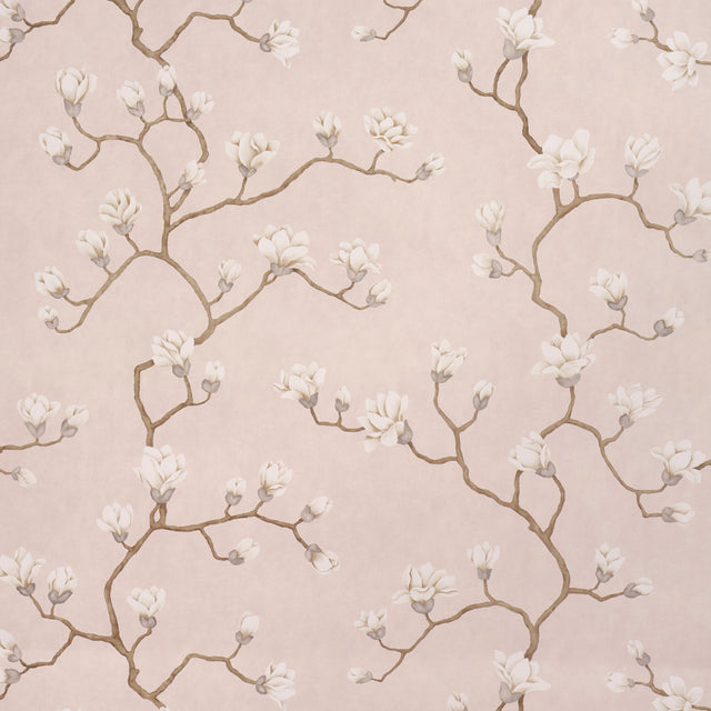 Magnolia Tree wallpaper in Dusty Blush by Schumacher, featuring large-scale hand-painted magnolia blossoms on a soft blush background.