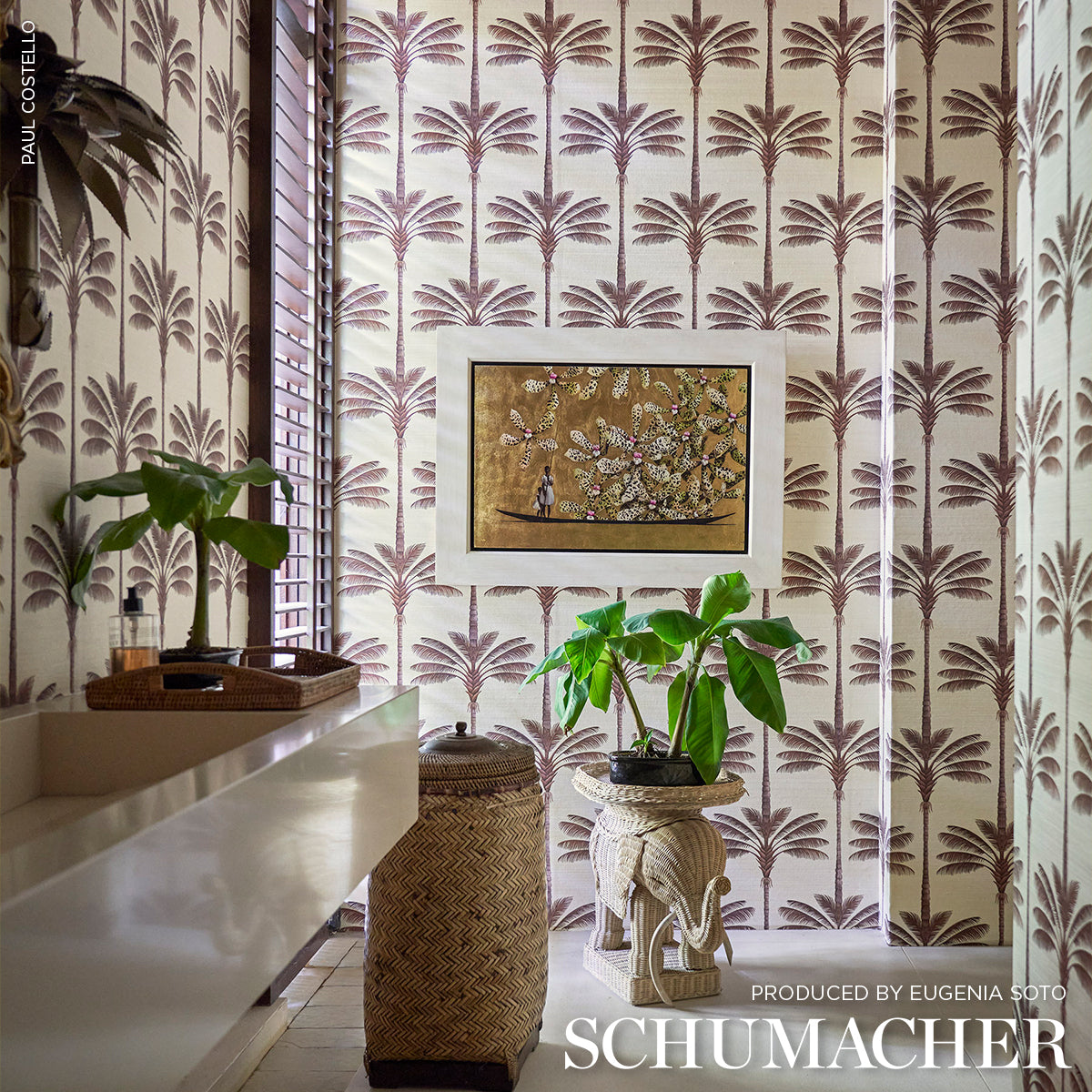 A Palm Is A Palm Sisal Chocolate Meets Tobacco by Johanna Ortiz Designer Wallpaper – Schumacher 5016960SAM