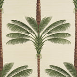A Palm Is A Palm Sisal Daylight Evergreen by Johanna Ortiz – Schumacher 5016961