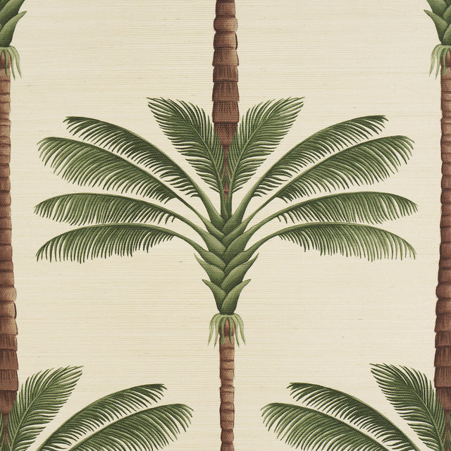 A Palm Is A Palm Sisal Daylight Evergreen by Johanna Ortiz – Schumacher 5016961