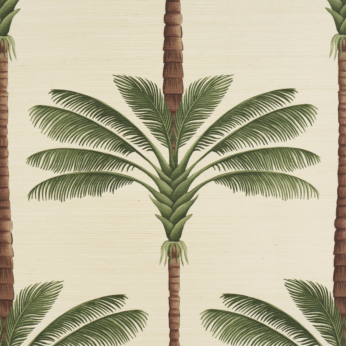 A Palm Is A Palm Sisal Daylight Evergreen by Johanna Ortiz – Schumacher 5016961SAM