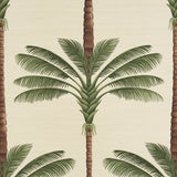 A Palm Is A Palm Sisal Daylight Evergreen by Johanna Ortiz – Schumacher 5016961SAM