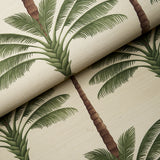 A Palm Is A Palm Sisal Daylight Evergreen by Johanna Ortiz – Schumacher 5016961