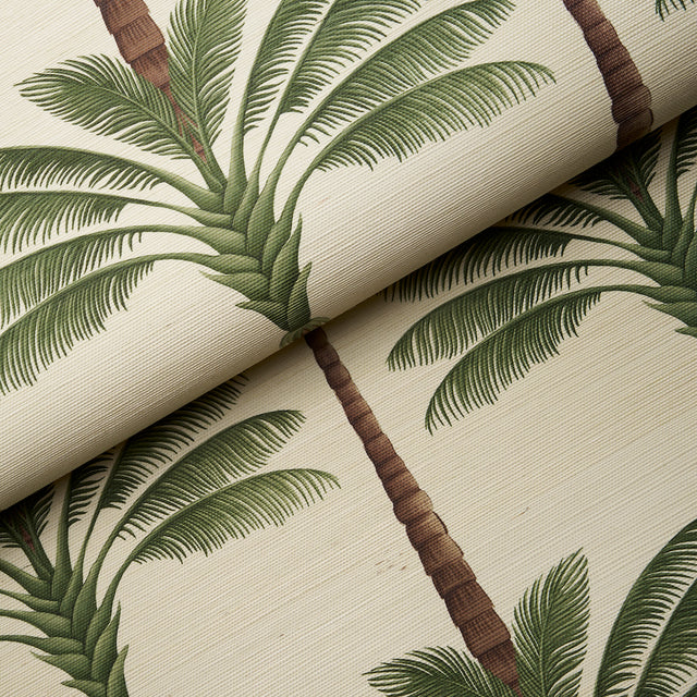 A Palm Is A Palm Sisal Daylight Evergreen by Johanna Ortiz – Schumacher 5016961