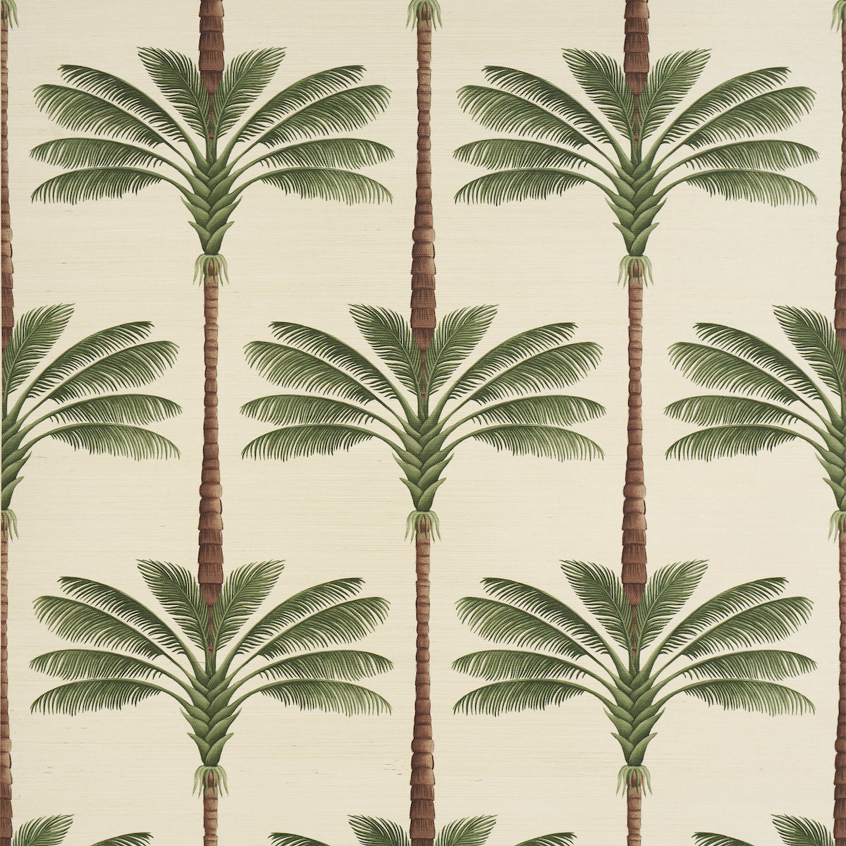A Palm Is A Palm Sisal wallpaper in Daylight Evergreen by Johanna Ortiz for Schumacher, featuring stylized palm trees on a sisal texture background.