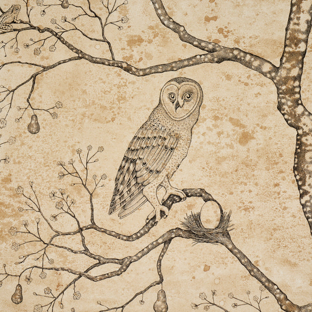 L'Attesa Nella Notte Parchment by Schumacher Luxe Lodge Artistic Owl Wallpaper – Schumacher 5017090
