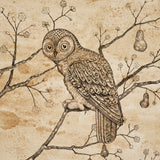 L'Attesa Nella Notte Parchment by Schumacher Luxe Lodge Artistic Owl Wallpaper – Schumacher 5017090