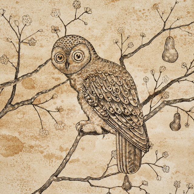 L'Attesa Nella Notte Parchment by Schumacher Luxe Lodge Artistic Owl Wallpaper – Schumacher 5017090