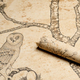 L'Attesa Nella Notte Parchment by Schumacher Luxe Lodge Artistic Owl Wallpaper – Schumacher 5017090