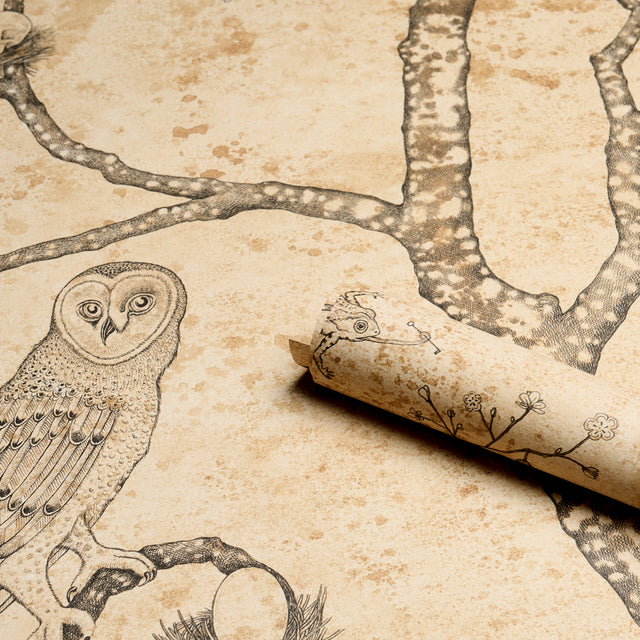 L'Attesa Nella Notte Parchment by Schumacher Luxe Lodge Artistic Owl Wallpaper – Schumacher 5017090