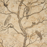L'Attesa Nella Notte wallpaper in parchment by Schumacher, featuring owls and skulls in stylized trees on a mottled background.