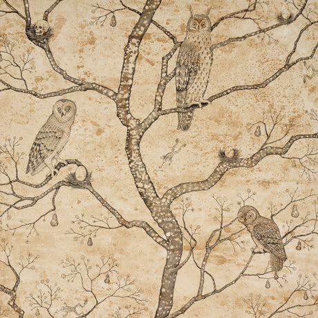 L'Attesa Nella Notte wallpaper in parchment by Schumacher, featuring owls and skulls in stylized trees on a mottled background.