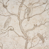 L'Attesa Nella Notte wallpaper in ivory by Schumacher, featuring owls, skulls, and trees in a pen-and-ink style on a mottled background.