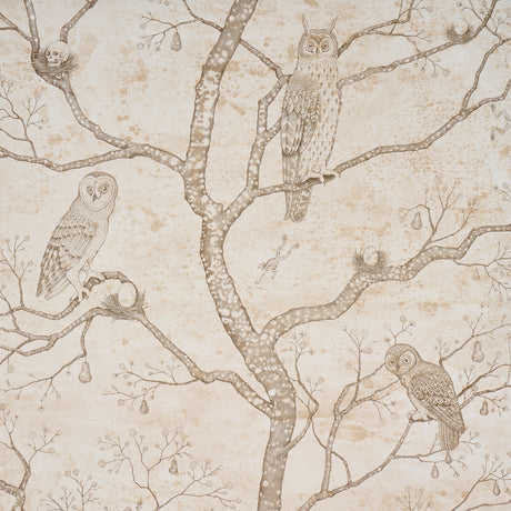 L'Attesa Nella Notte wallpaper in ivory by Schumacher, featuring owls, skulls, and trees in a pen-and-ink style on a mottled background.