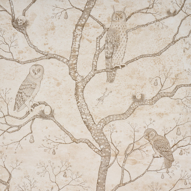 L'Attesa Nella Notte wallpaper in ivory by Schumacher, featuring owls, skulls, and trees in a pen-and-ink style on a mottled background.