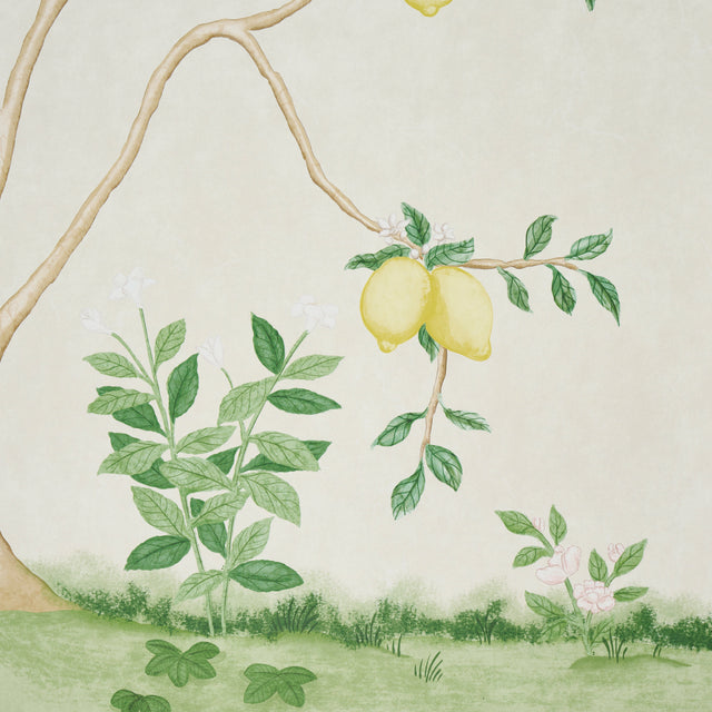 Citrus Blossom 2 Panel Set Cream Botanical Garden Wallpaper – Schumacher 5017160