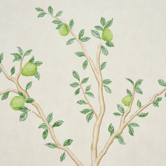 Citrus Blossom 2 Panel Set Cream Botanical Garden Wallpaper – Schumacher 5017160