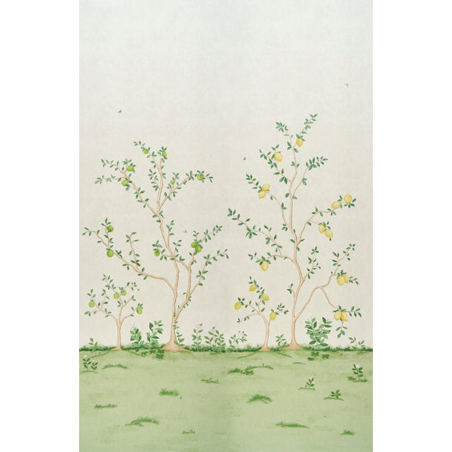 Citrus Blossom 2 Panel Set wallpaper featuring a hand-painted look of lemon trees and botanical elements on a cream background.