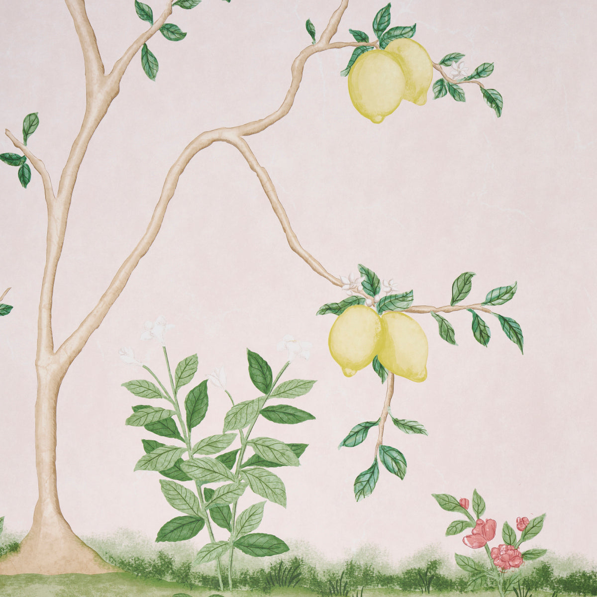 Citrus Blossom 2 Panel Set Blush Botanical Mural Wallpaper – Schumacher 5017161