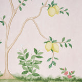 Citrus Blossom 2 Panel Set Blush Botanical Mural Wallpaper – Schumacher 5017161