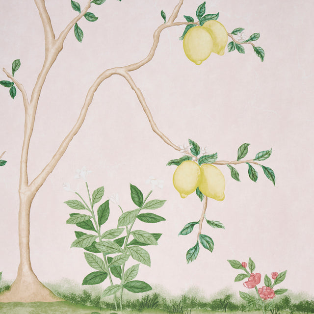 Citrus Blossom 2 Panel Set Blush Botanical Mural Wallpaper – Schumacher 5017161